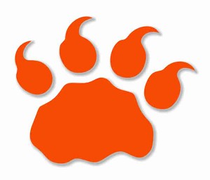 BC Lions Precision Cut Decal