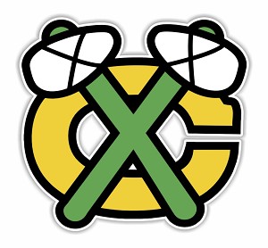 Chicago Blackhawks Retro Emblem Precision Cut Decal