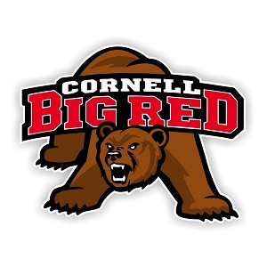 Cornell University Big Red  Precision Cut Decal