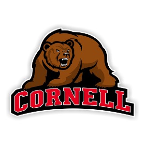 Cornell University Big Red  Precision Cut Decal