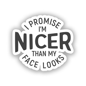 I promise I'm nicer than my face looks   Sticker (Peel' N Stick)