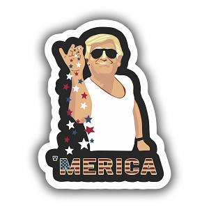 11000-VLA220 TRUMP Cool Salt  Precision Cut Decal