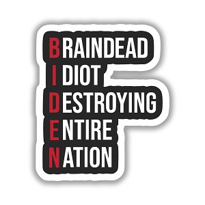 Biden   Precision Cut Decal 