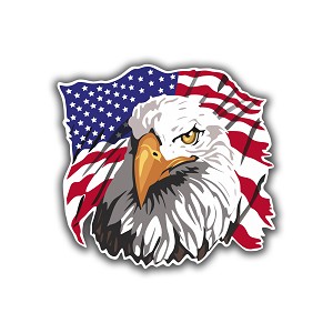 Eagle Head USA Flag Precision Cut Decal