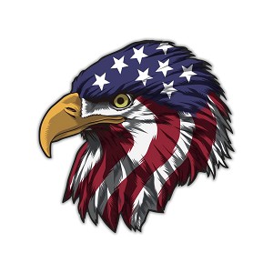 USA Eagle Head Precision Cut Decal