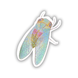 Cicada  Precision Cut Decal