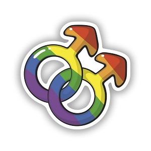 Gay Pride Mens LGBT Precision Cut Decal