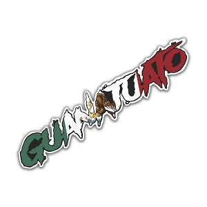 Guanajuato Mexico Precision Cut Decal