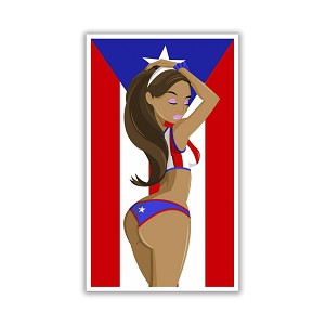 11000-VLA451 Puerto Rico Bandera Flag Boricua   Precision Cut Decal 