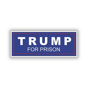 Trump for Prison Precision Cut Decal