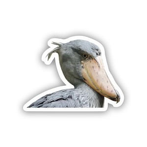 Cool Realistic Shoebill Stork  Precision Cut Decal