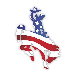 Bucking Horse USA Flag  Precision Cut Decal