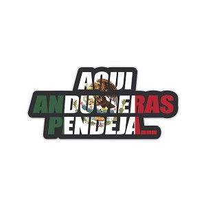 Aqui Anduvieras Pendeja  Precision Cut Decal