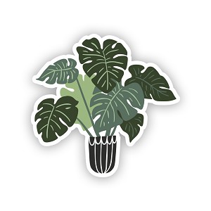 Monstera Deliciosa Precision Cut Decal