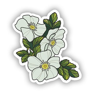 Cherokee Rose White Flowers    Precision Cut Decal 