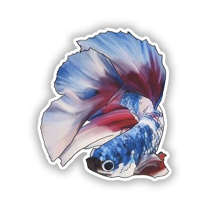 Betta Fish  Precision Cut Decal