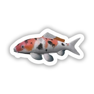 Koi Fish  Precision Cut Decal