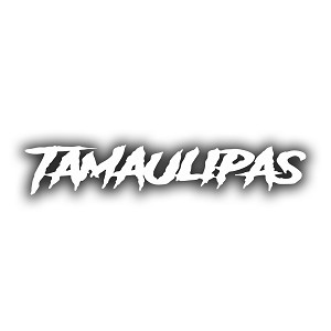 Tamaulipas Mexico (White Letters)    Precision Cut Decal
