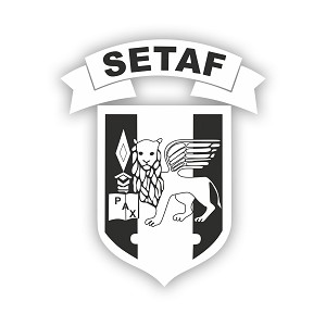  US Army SETAF   Precision Cut Decal