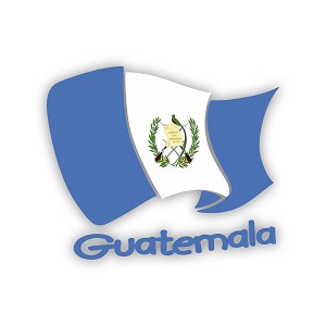 Guatemala Flag     Precision Cut Decal
