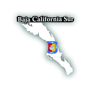 Baja California Sur State Map Flag Decal Mexico   Precision Cut Decal