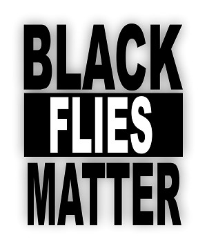 Black Flies Matter  Precision Cut Decal