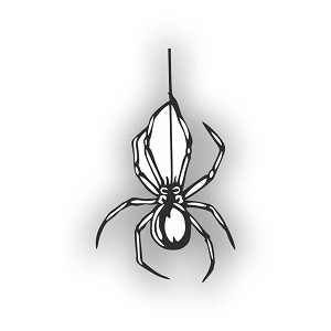 Spider  Precision Cut Decal
