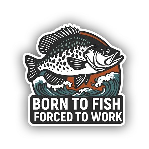 Born To Fish, Froced To Work  Precision Cut Decal