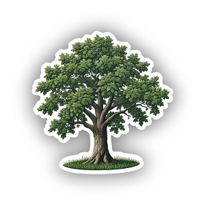 Eastern Cottonwood Tree Kansas Precision Cut Decal