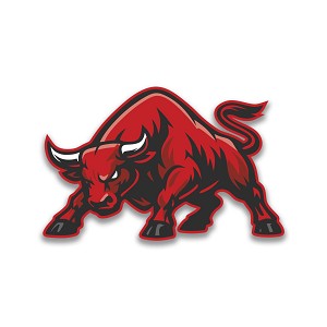 Charging Bull Silhouette Presicion Cut Decal