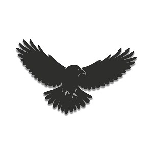 Raven Wings Silhouette  Precision Cut Decal
