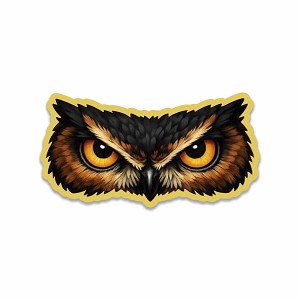 Owl Eyes Intense Stare  Precision Cut Decal