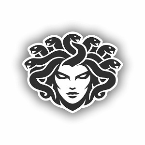Abstract Gorgon Face  Precision Cut Decal