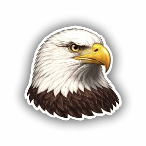 Bald Eagle Head Realistic  Precision Cut Decal