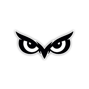 Minimalist Owl Eyes  Precision Cut Decal