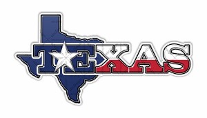 Texas  Precision Cut Decal