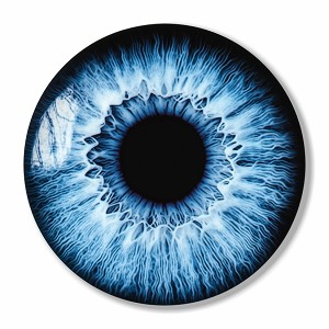Blue eyeball  Precision Cut Decal