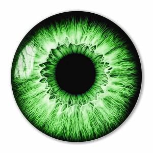 Green eyeball  Precision Cut Decal