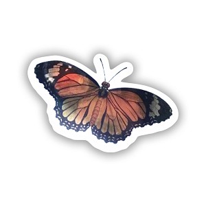 Butterfly Cute Nature Summer Insect  Sticker (Peel N'Stick)