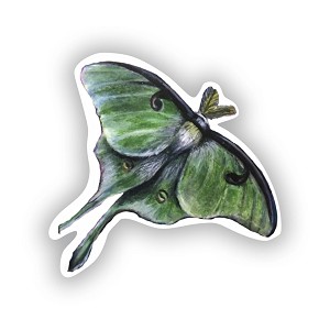 Luna Moth  Sticker (Peel N'Stick)