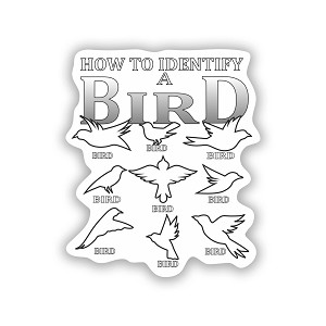 How to Identify A Bird Sticker (Peel N'Stick)