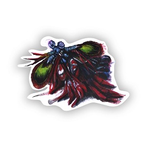Peacock Mantis Shrimp  Sticker (Peel N' Stick)