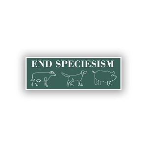 Reptilian  Sticker (Peel N' Stick)