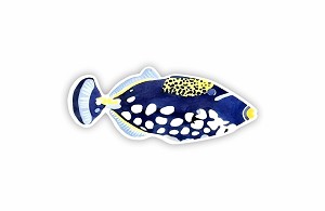 Clown Triggerfish   Sticker (Peel N' Stick)