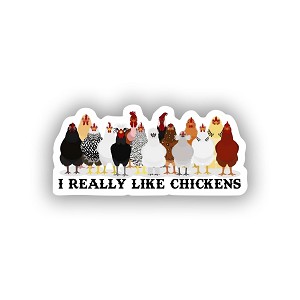 I Really Love Chickens   STICKER (Peel N' Stick)