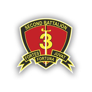 2nd Battalion 3rd Hawaii.  Sticker (Peel N' Stick)