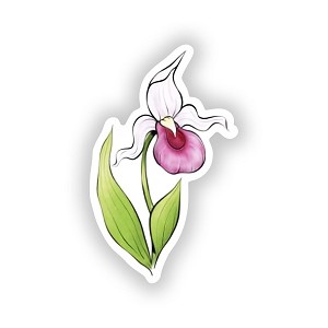 Minnesota State Flower.  Sticker (Peel N' Stick)