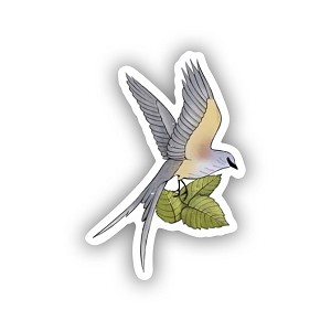 Oklahoma State Bird.  Sticker (Peel N' Stick)