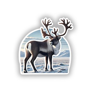 Detailed Realistic Alaskan Caribou.  Sticker (Peel N' Stick)
