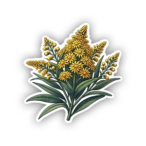 Nebraska Wildflower Giant Goldenrod.  Sticker (Peel N' Stick)